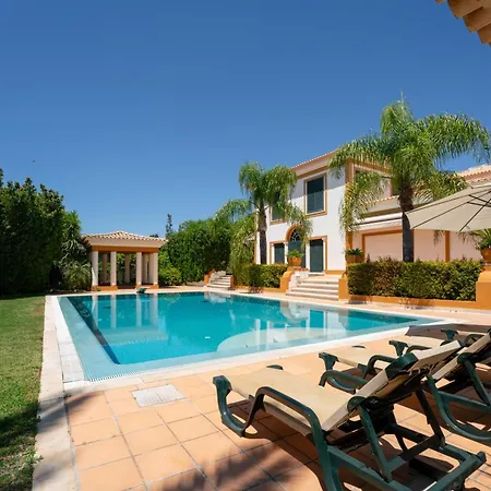 Cicas アルブフェイラ