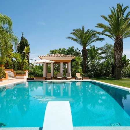 Cicas アルブフェイラ