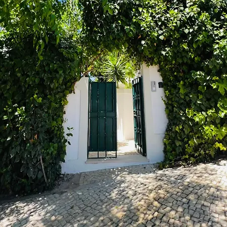 Apartment Cicas