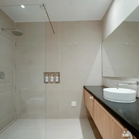 Cicas アルブフェイラ